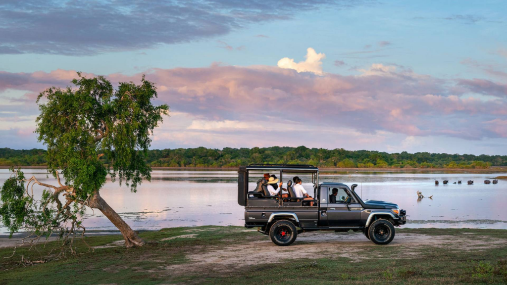 A Private Wildlife Week   in Sri Lanka